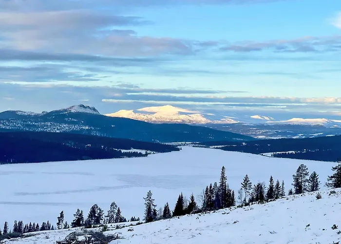Gorgeous In With Sauna *